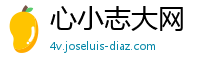 心小志大网